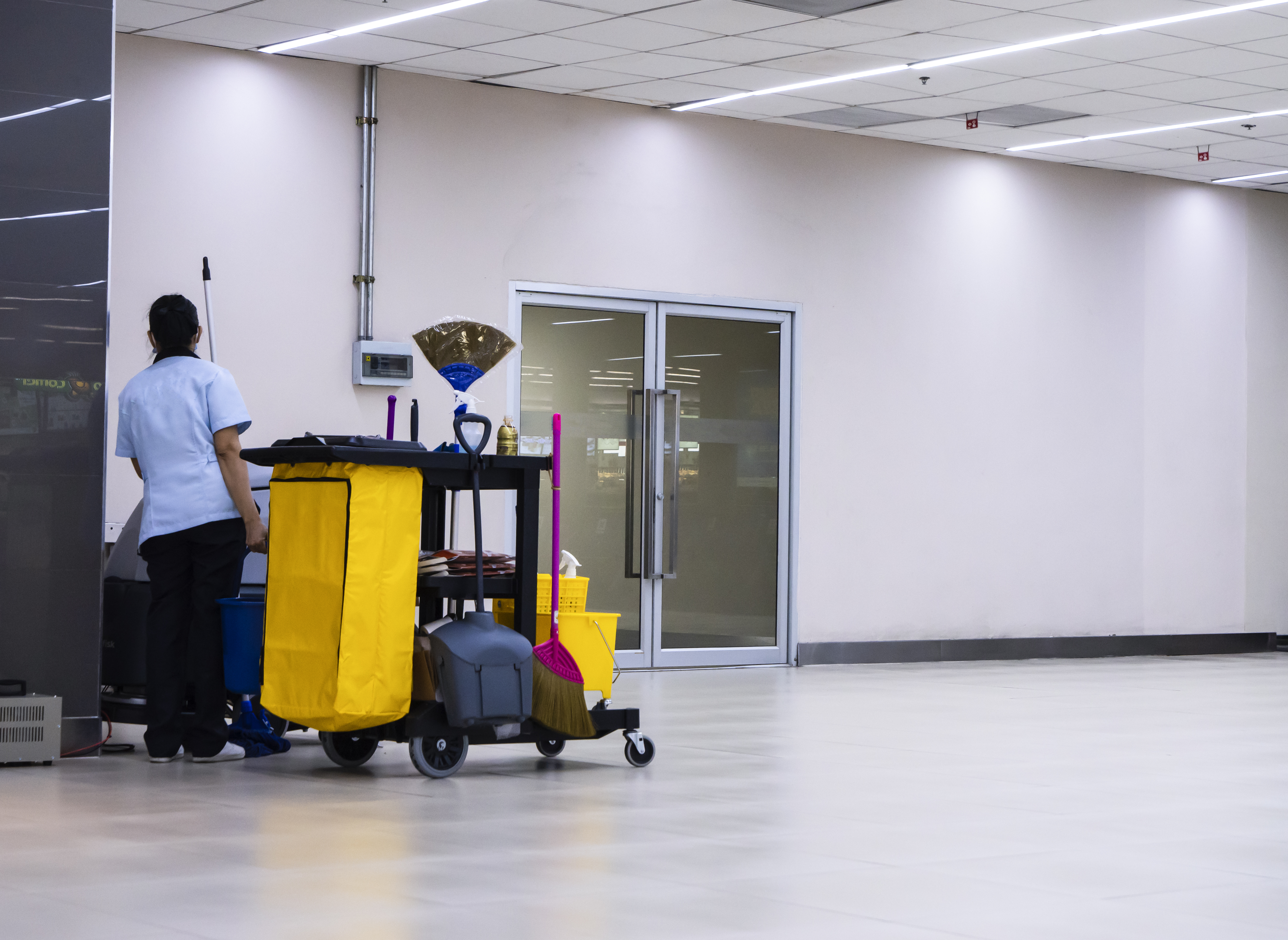 Professional cleaning service